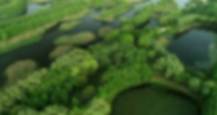 尊龙凯时[苏州景物园林设计,苏州景物园林施工,苏州文物古建修缮,苏州香山制造,苏州园林设计,苏州景物园林设计,苏州园林制造,苏州景物园林制造,苏州古修建修复]