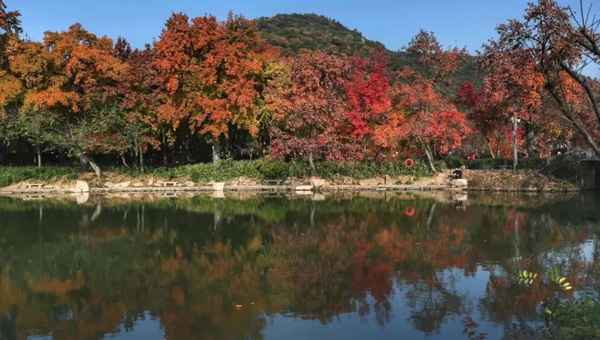 尊龙凯时[苏州景物园林设计,苏州景物园林施工,苏州文物古建修缮,苏州香山制造,苏州园林设计,苏州景物园林设计,苏州园林制造,苏州景物园林制造,苏州古修建修复]