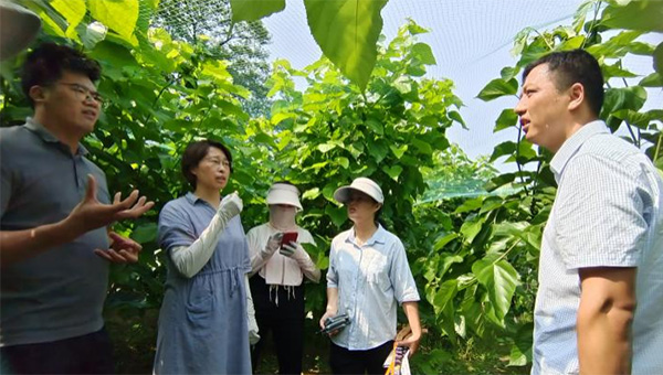尊龙凯时[苏州景物园林设计,苏州景物园林施工,苏州文物古建修缮,苏州香山制造,苏州园林设计,苏州景物园林设计,苏州园林制造,苏州景物园林制造,苏州古修建修复]