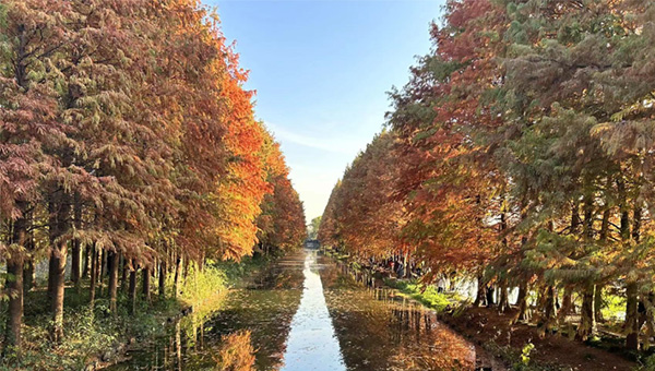 尊龙凯时[苏州景物园林设计,苏州景物园林施工,苏州文物古建修缮,苏州香山制造,苏州园林设计,苏州景物园林设计,苏州园林制造,苏州景物园林制造,苏州古修建修复]