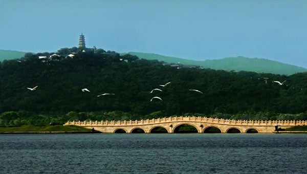 尊龙凯时[苏州景物园林设计,苏州景物园林施工,苏州文物古建修缮,苏州香山制造,苏州园林设计,苏州景物园林设计,苏州园林制造,苏州景物园林制造,苏州古修建修复]