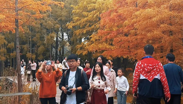 尊龙凯时[苏州景物园林设计,苏州景物园林施工,苏州文物古建修缮,苏州香山制造,苏州园林设计,苏州景物园林设计,苏州园林制造,苏州景物园林制造,苏州古修建修复]