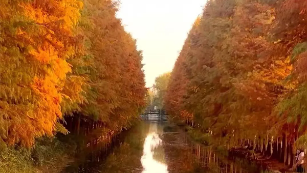 尊龙凯时[苏州景物园林设计,苏州景物园林施工,苏州文物古建修缮,苏州香山制造,苏州园林设计,苏州景物园林设计,苏州园林制造,苏州景物园林制造,苏州古修建修复]