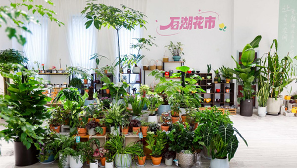 尊龙凯时[苏州景物园林设计,苏州景物园林施工,苏州文物古建修缮,苏州香山制造,苏州园林设计,苏州景物园林设计,苏州园林制造,苏州景物园林制造,苏州古修建修复]