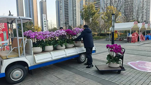 尊龙凯时[苏州景物园林设计,苏州景物园林施工,苏州文物古建修缮,苏州香山制造,苏州园林设计,苏州景物园林设计,苏州园林制造,苏州景物园林制造,苏州古修建修复]
